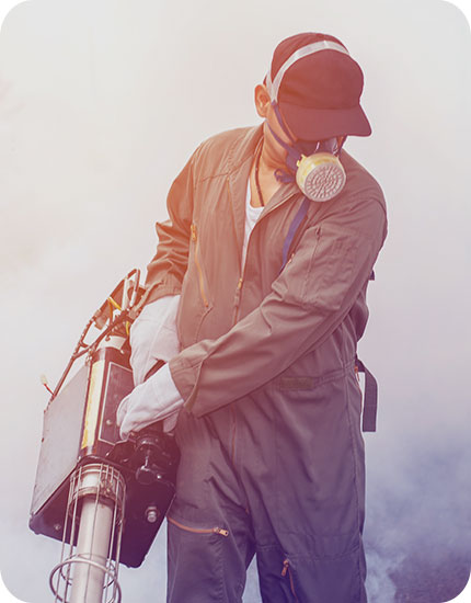 Best Pest Control Service in Ambala